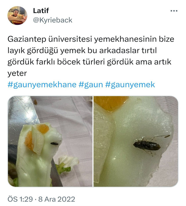 Üniversitenin yemek zamına öğrenciler isyan etti! Yüzde 400 zamlı yemeğe “Taş mı yiyelim” dediler - Resim: 2