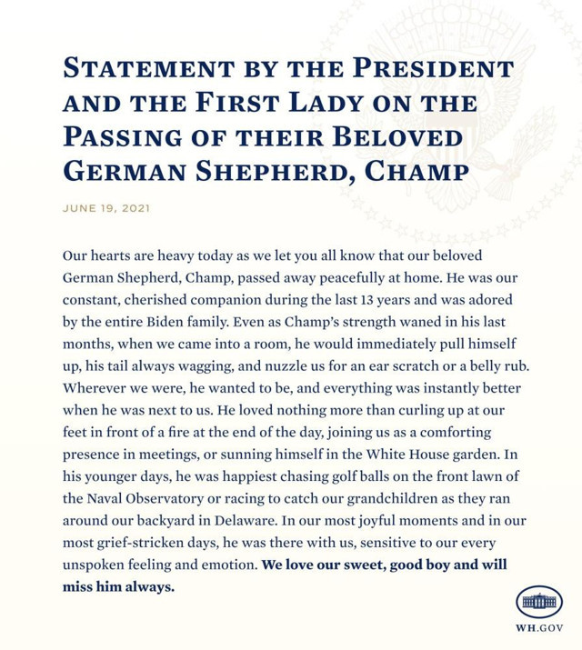 ABD Başkanı Joe Biden ve First Lady Jill Biden’ın köpeği Champ öldü - Resim: 1