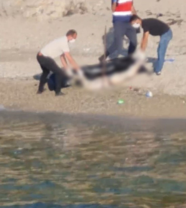 Kocaeli'nde korkunç olay! Başı, el ve ayakları olmayan vücut... - Resim: 0