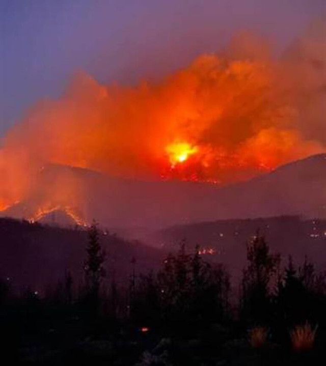 Bodrum'da alevler köye girdi evler yanıyor! 2 şehirde 5 noktada orman yangınları sürüyor! - Resim: 2