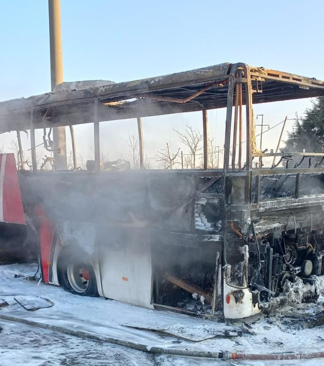 İstanbul'dan yola çıkan yolcu otobüsü alev alev yandı - Resim: 0
