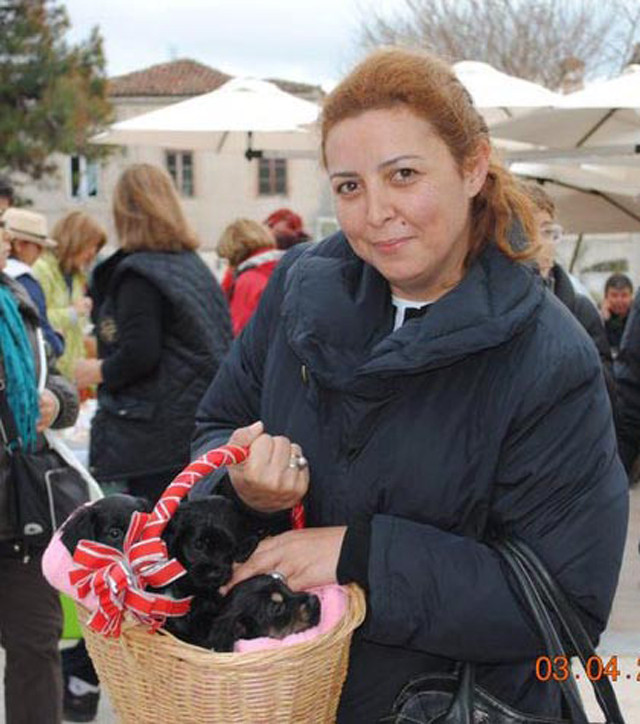 İzmir'de sahipli kedi tüfekle vuruldu - Resim: 1