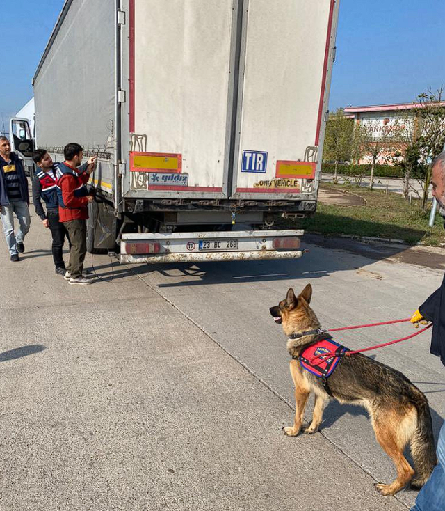 Sakarya ve Hatay'da operasyon! Bakan Ali Yerlikaya duyurdu: 39 göçmen kaçakçısı organizatör yakalandı - Resim: 0