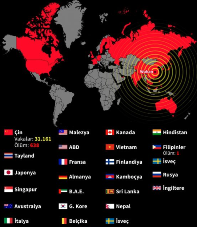 Coronavirüsün nedeni ortaya çıktı! Yarasa değil pangolinden yayılmış - Resim: 0