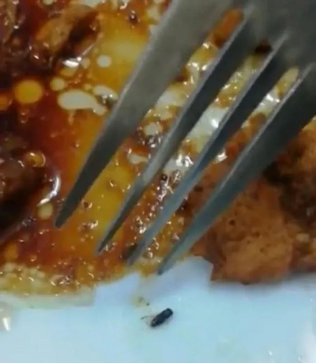 KYK kız öğrenci yurdunda şok eden görüntüler! Korkunç iddia: Böcekler, yılanlar... - Resim: 1