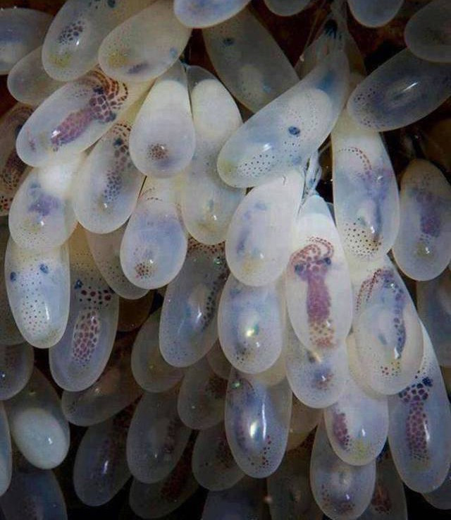 Günün en beğenilen fotoğrafları - Resim: 3