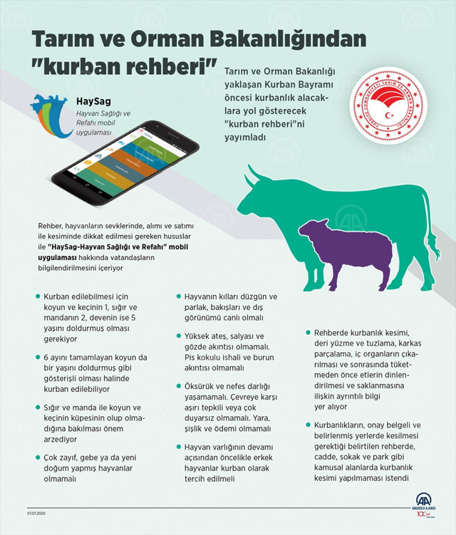 Bakanlık açıkladı! Kurban alacaklar bunlara dikkat! - Resim: 0