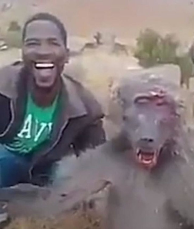 Zavallı hayvan can çekişti o acımasızca dalga geçti - Resim: 1