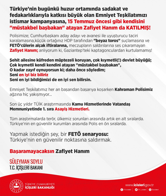 Süleyman Soylu, Meral Akşener'in sözlerine tepki göstererek yeni lakap taktı - Resim: 0