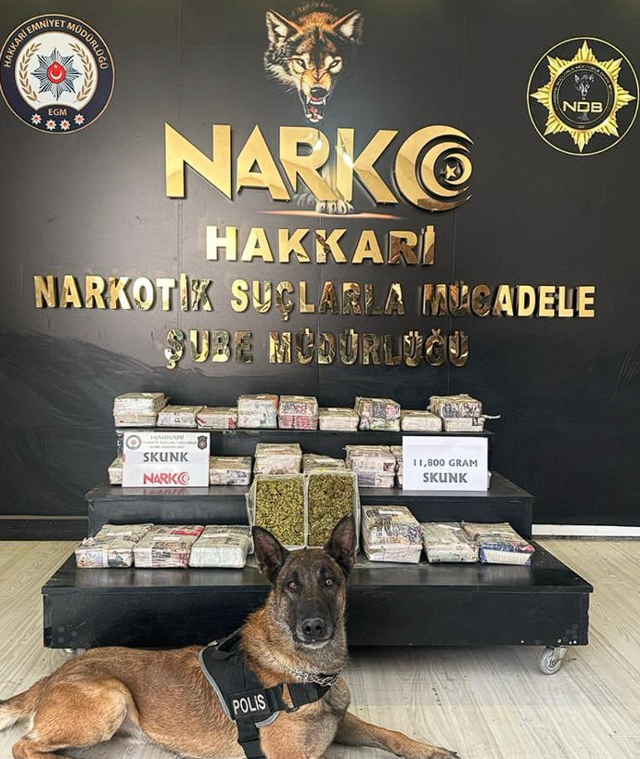 Bakan Ali Yerlikaya: 16 ilde uyuşturucu operasyonu düzenlendi! 99 zehir taciri yakalandı - Resim: 3