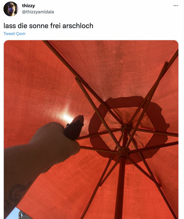 Adana değil Almanya! Sosyal medya yıkılıyor... Güneşe ateş ettiler - Resim: 0