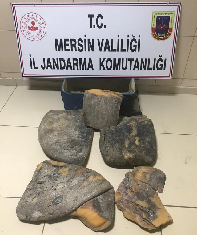 Mersin’de balina kusmuğu operasyonu 2 gözaltı - Resim: 0