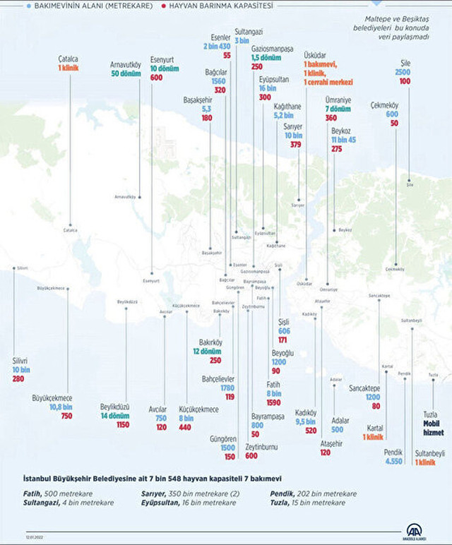 İstanbul'da sokak köpekleri toplanacak! İstanbul Valisi Gül'den kaymakamlık ve belediyelere talimat - Resim: 0