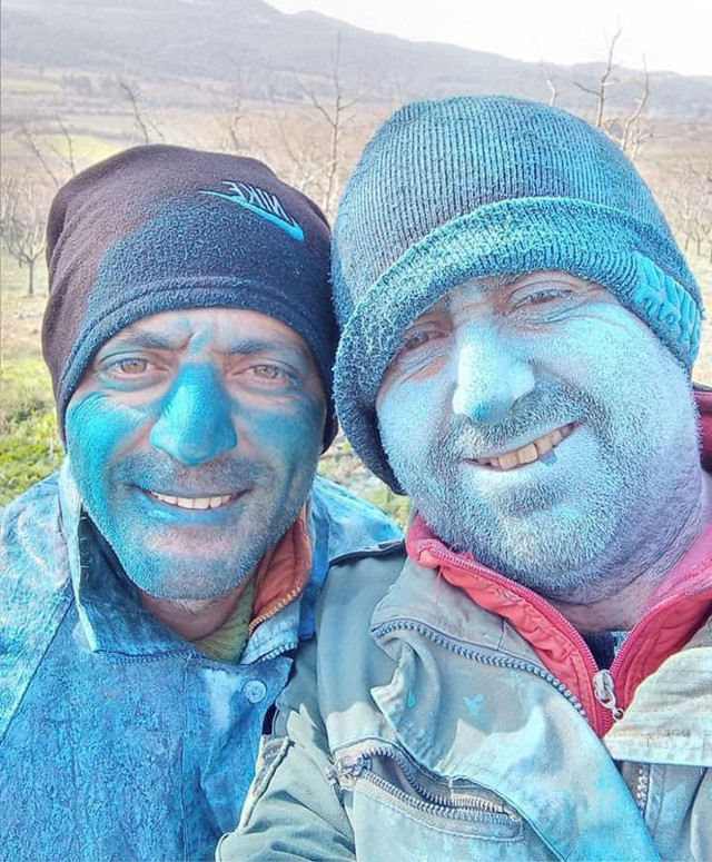 İznikli çiftçileri görenler şaştı kaldı! Ağaçlarını ilaçlayınca kendileri maviye dönüştü - Resim: 1