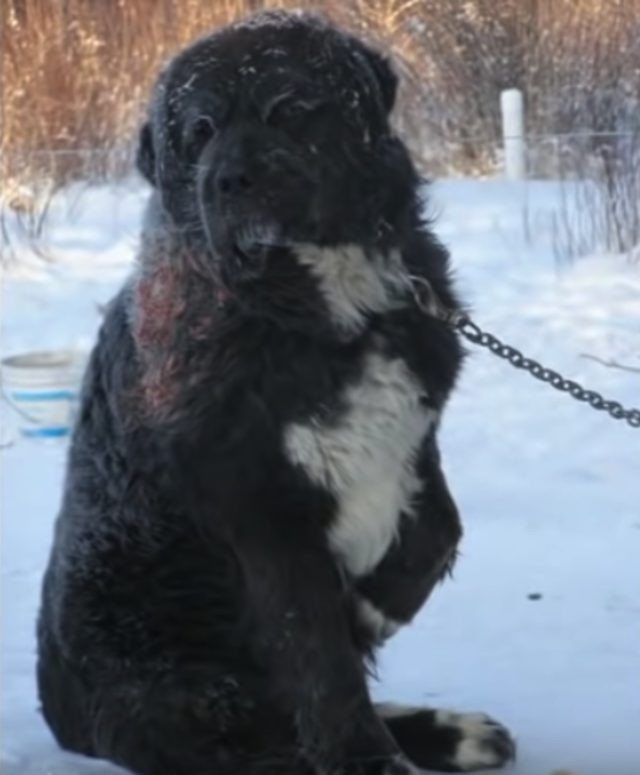 -40 derece soğukta 4 yıl boyunca akılalmaz işkence! - Resim: 4