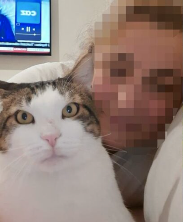 ‘Karım beni dövüp aldatıyor!’ diye mahkeme gitti hakim o numarayı yemedi evden attı - Resim: 1