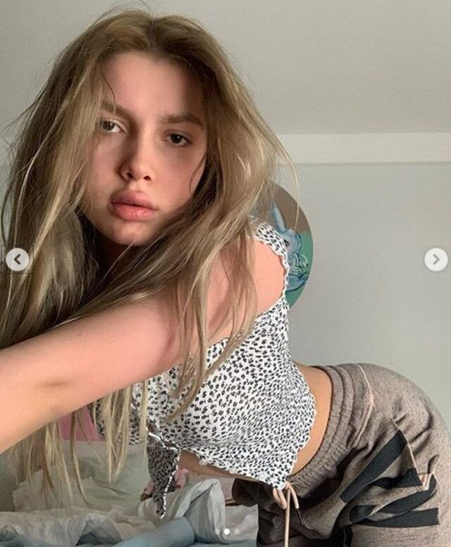 Koronovirüse karşı Aleyna Tilki kendini karantinaya aldı ev halini paylaştı - Resim: 3