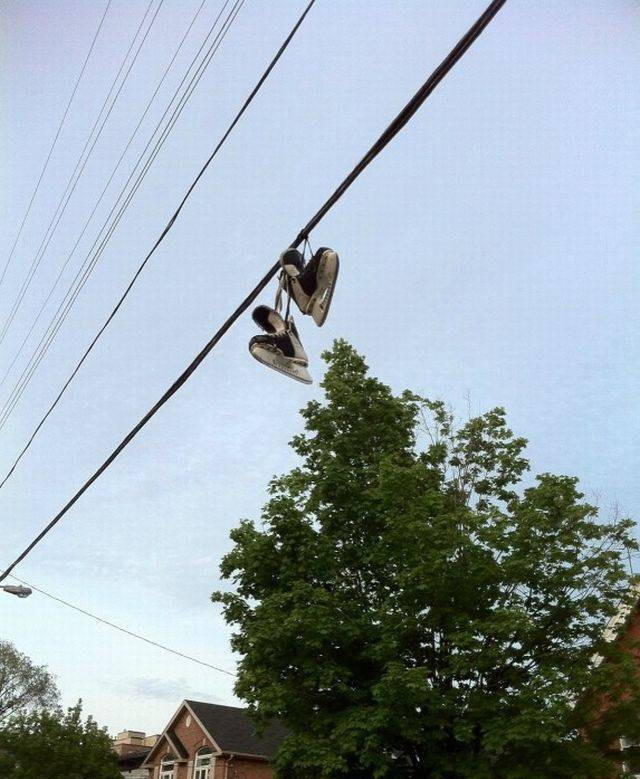 Günün en çok paylaşılan 60 fotoğrafı - Resim: 4