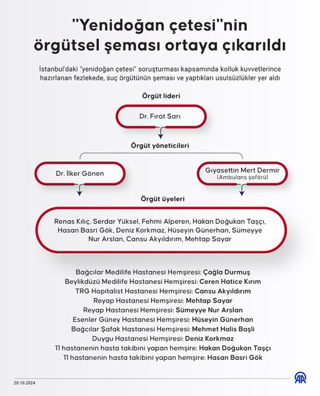 "Yenidoğan çetesi"nin örgütsel şeması ortaya çıkarıldı - Resim: 1