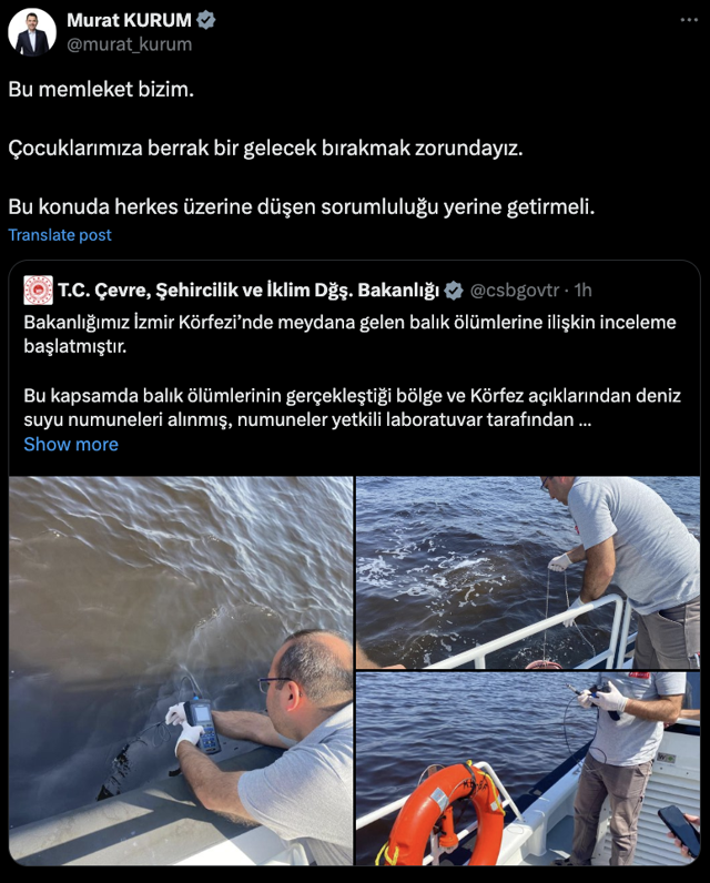 Çevre, Şehircilik ve İklim Değişikliği Bakanlığı'ndan İzmir Körfezi'ndeki balık ölümlerine ilişkin inceleme - Resim: 1