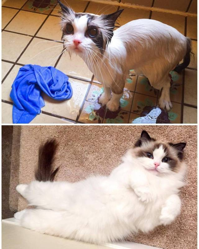 Günün en çılgın 20 fotoğrafı - Resim: 2