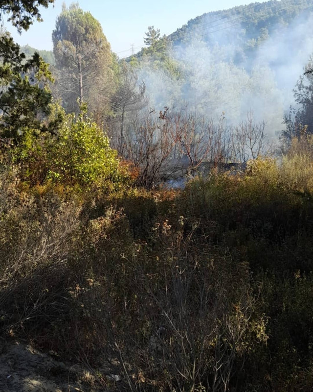 Hatay'da korkutan orman yangını - Resim: 0