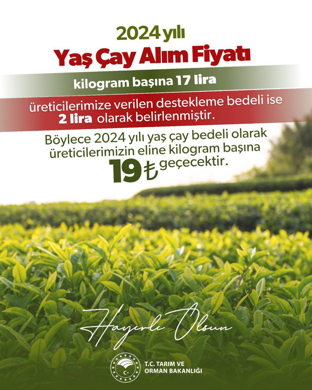 Bakanlık açıkladı; Yaş çay alım fiyatı belli oldu - Resim: 0