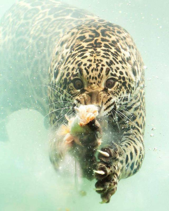 Aynı kişi olduğuna inanmakta zorluk çekeceksiniz - Resim: 4