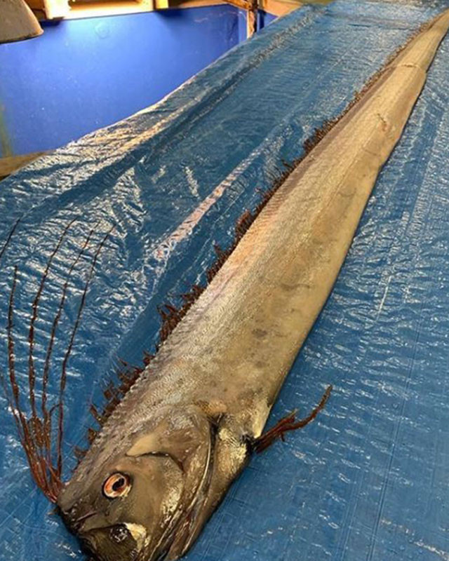 Bu görüntüler ülkeyi ayağa kaldırdı! 2011 felaketine işaret ediyor - Resim: 1