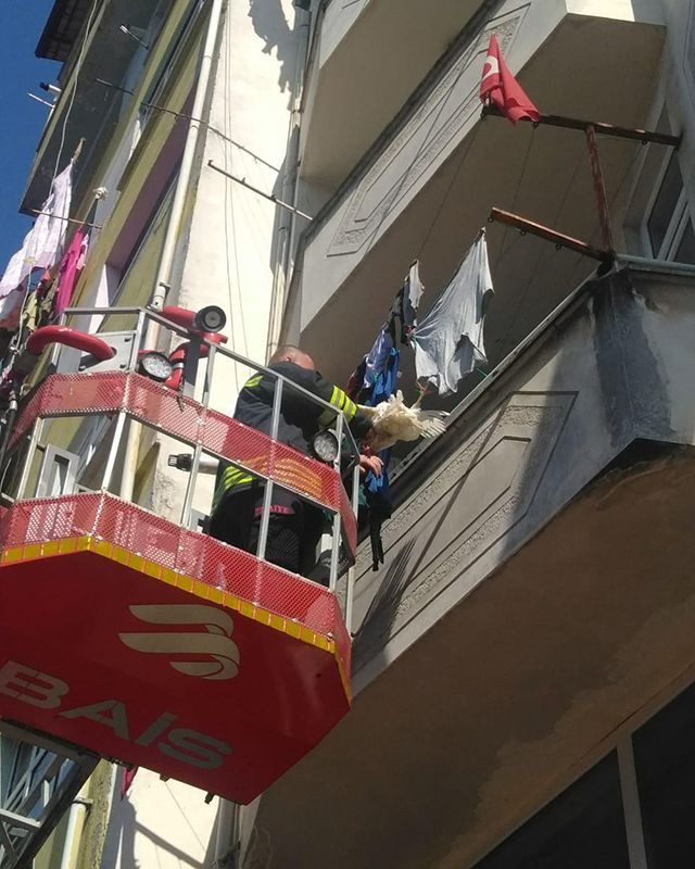 Rize itfaiyesinden tavuk kurtarma operasyonu - Resim: 4