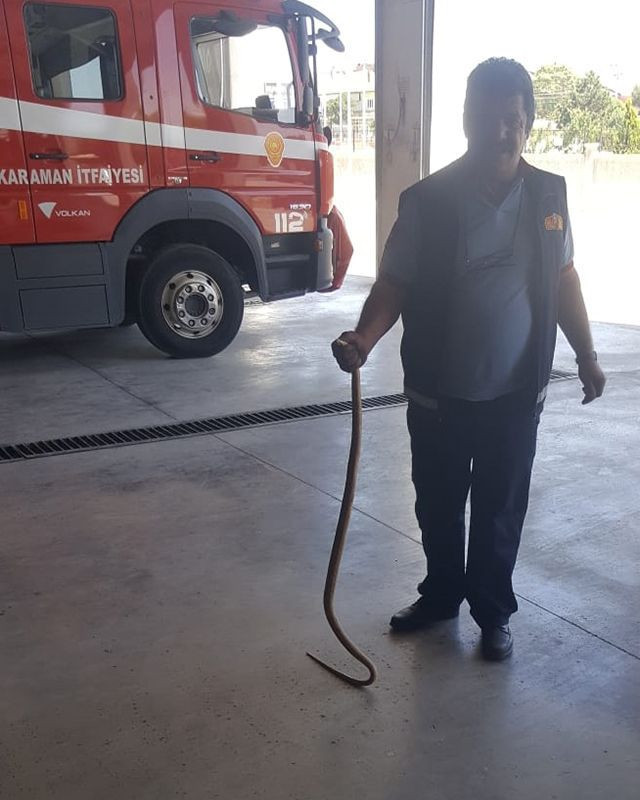 Karaman'da yılan itfaiye çalışanının elini soktu - Resim: 4