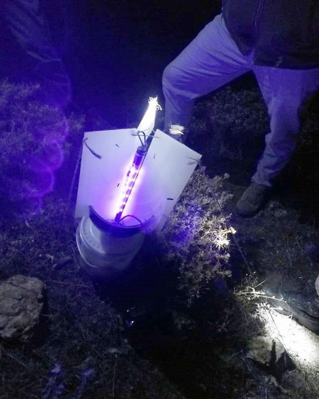 Gümüşhane'de kelebek yakalayan yabancı uyruklu 2 kişiye para cezası - Resim: 1