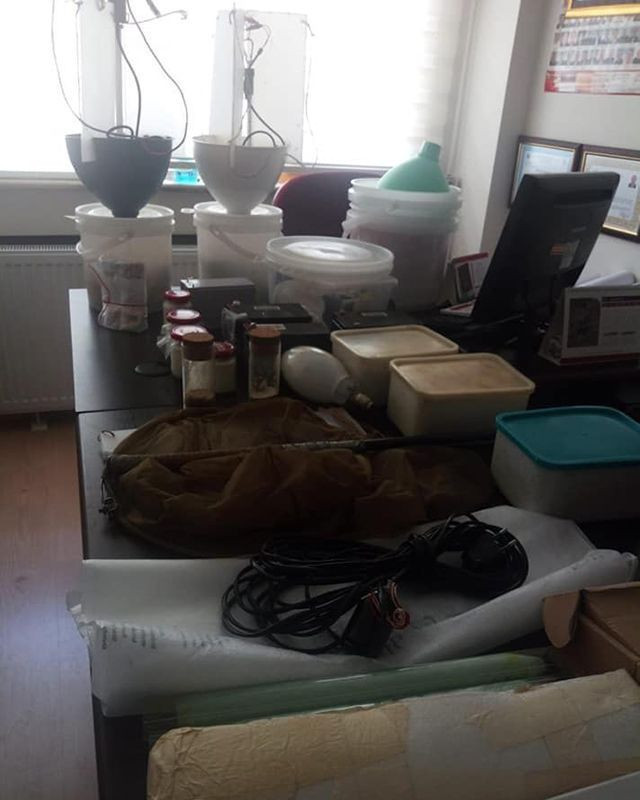 Gümüşhane'de kelebek yakalayan yabancı uyruklu 2 kişiye para cezası - Resim: 4