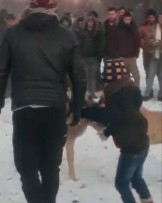 Konya'da ormanda köpek dövüştüren 4 kişiye gözaltı - Resim: 2