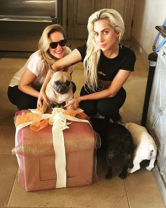 Lady Gaga'nın silahlı saldırı sonrası köpekleri çalındı - Resim: 2