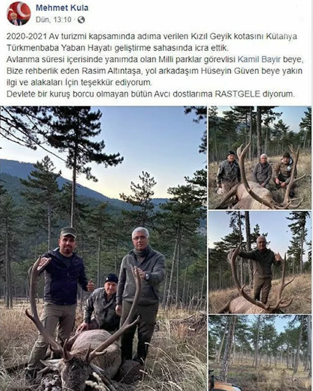 MHP'li eski belediye başkanı, nesli tükenmekte olan kızıl geyiği vurup fotoğrafını paylaştı - Resim: 0