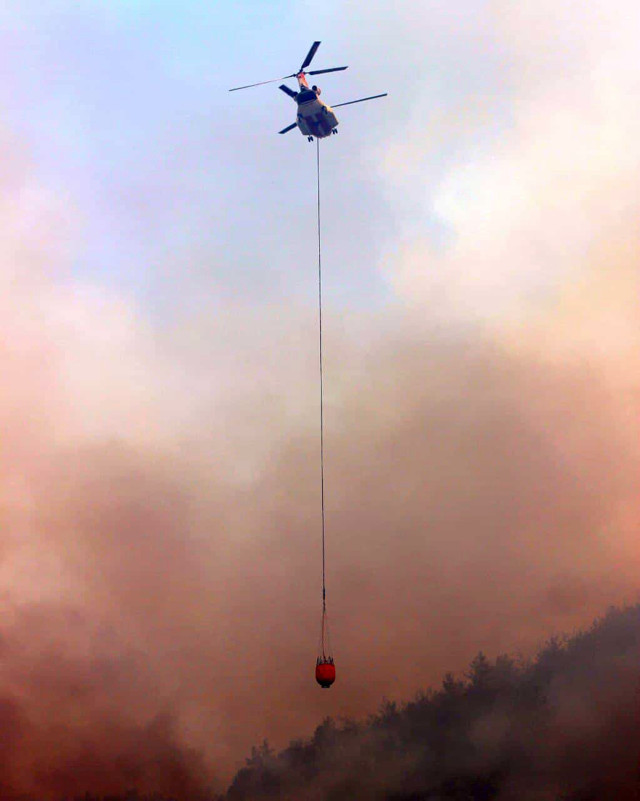 Orman yangınında alevler tüm yöreyi sardı! Çökertme'yi 'Deli Memet' denilen rüzgar yaktı - Resim: 4