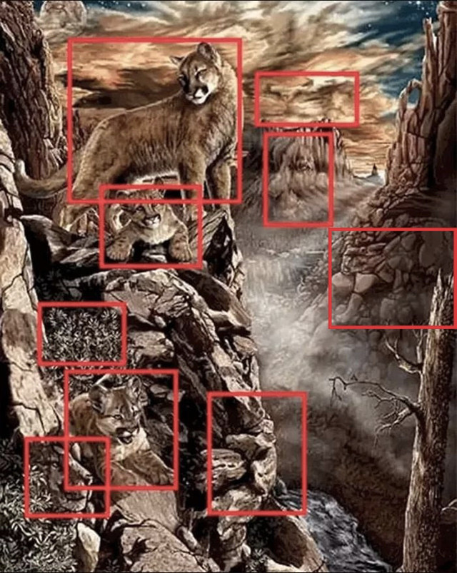 Galatasaraylılar bile bulamadı! 10 saniyeniz var 9 aslanı bulan zeka küpü - Resim: 1