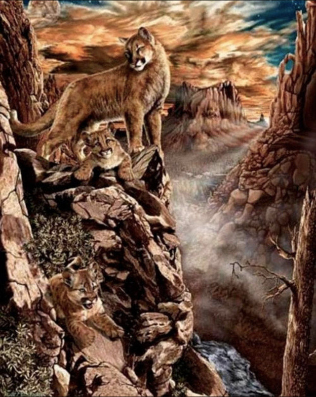 Galatasaraylılar bile bulamadı! 10 saniyeniz var 9 aslanı bulan zeka küpü - Resim: 0