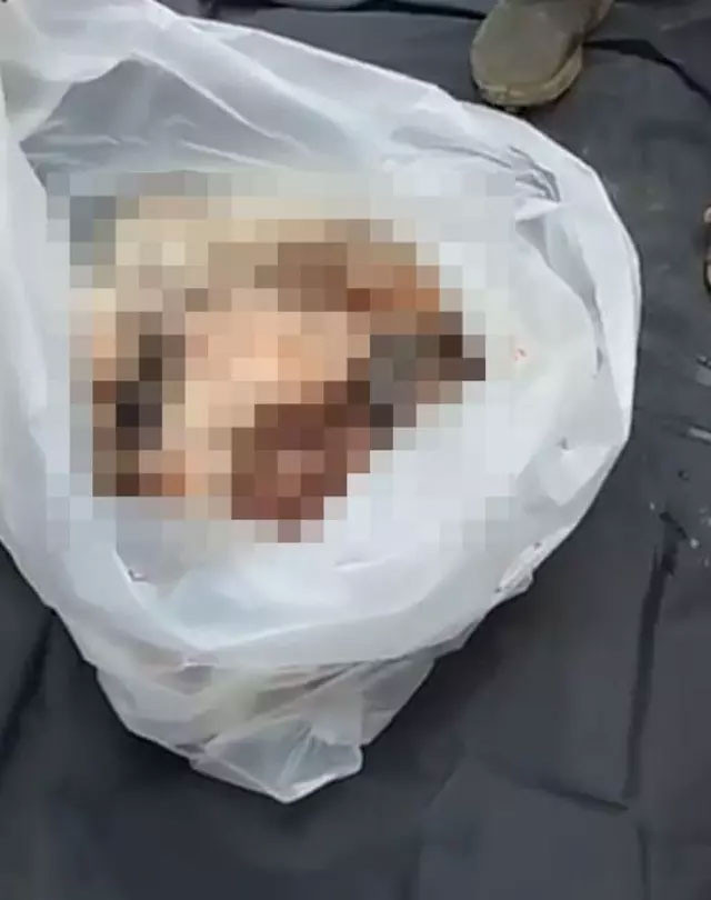 Kan donduran görüntü! 4 gündür kayıp olan adam timsahın midesinden çıktı - Resim: 1