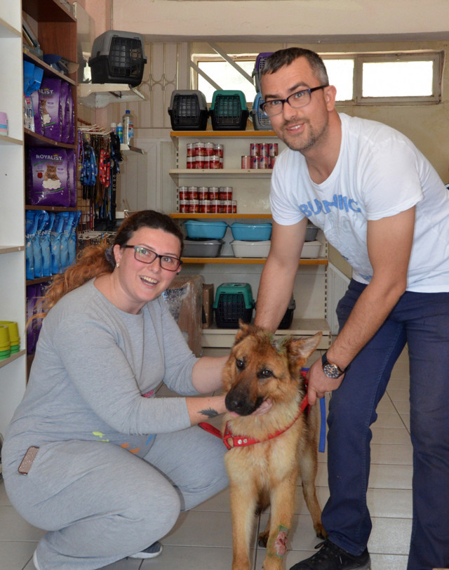 Antalya'da köpeği sahiplenen kadın: Ben hamile o hamile geçinip gideceğiz - Resim: 1