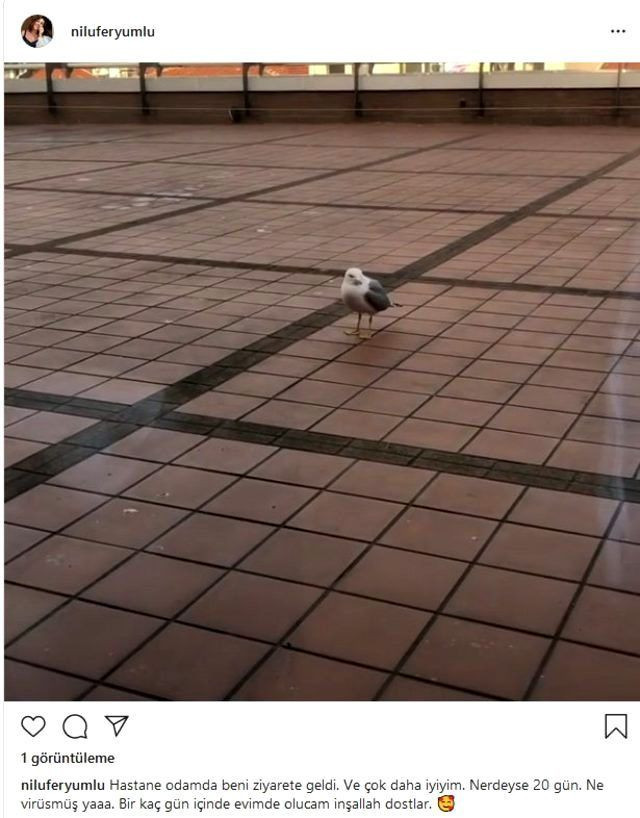 Nilüfer'in sağlık durumu nasıl hastaneye kaldırılmıştı ilk haber geldi - Resim: 3