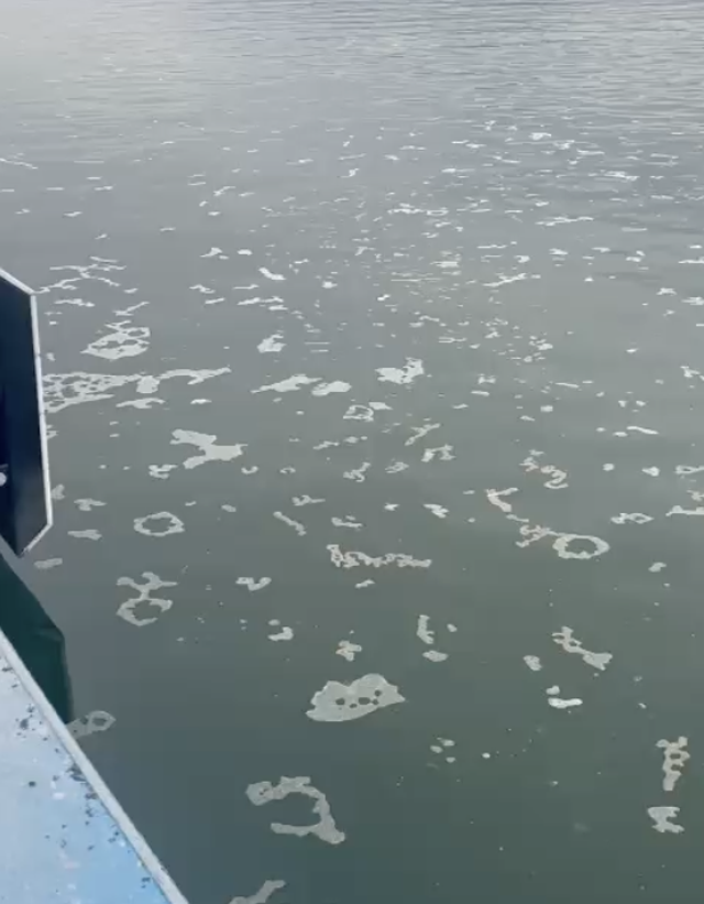 İzmir Körfezi'ne boya atığı deşarj eden firmaya 8,3 milyon lira ceza - Resim: 1