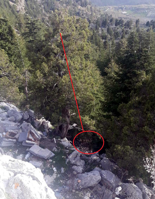 Antalya'da fotoğraf çekmek için çıktığı ağaçtan düşüp öldü - Resim: 0