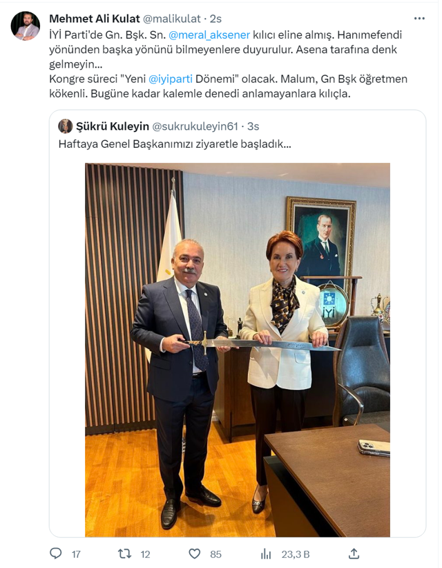 Meral Akşener kılıcı eline aldı! Ünlü anketçi o fotoğrafın parti içi muhalefete verdiği mesajı açıkladı - Resim: 0