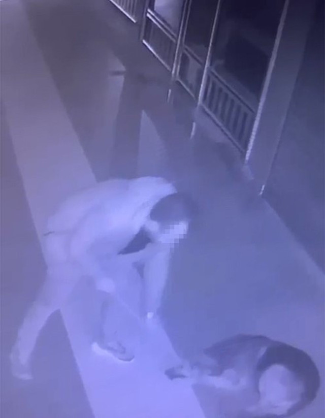 Köpeği önce sever gibi yaptı sonra acımasızca vurdu! Korkunç görüntüler: Sopanın ucu kırıldı! - Resim: 1