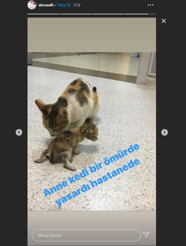 Ebru Şallı'nın paylaşımı yürekleri dağladı oğlu Pars'ı kanser yüzünden kaybetmişti - Resim: 3