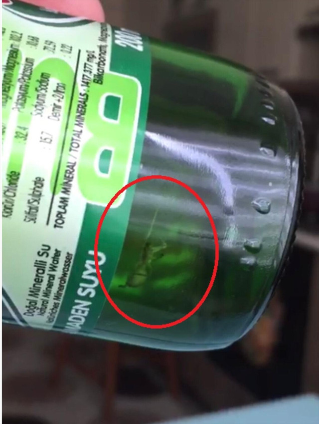 Esenyurt'ta şok! Maden suyu şişesinden örümcek çıktı - Resim: 1