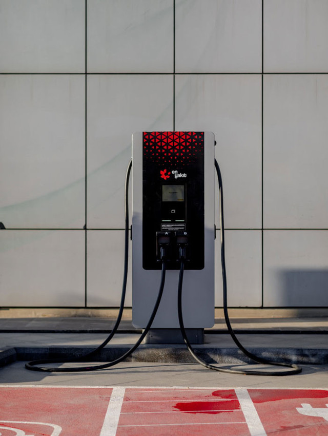 Elektrikli araç sahipleri bu bayramda çifte sevinç yaşadı - Resim: 0