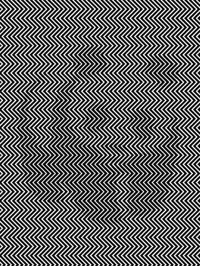 Saatlerce bakıp göremeyen var siz gizli pandayı gördünüz mü? - Resim: 0